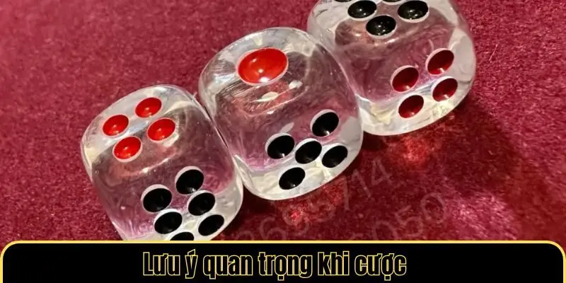 Lưu ý quan trọng khi cược