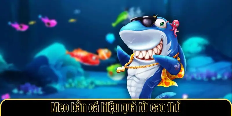 Mẹo bắn cá hiệu quả từ cao thủ