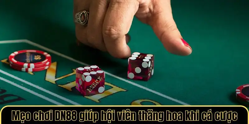 Mẹo chơi DN88 giúp hội viên thăng hoa khi cá cược